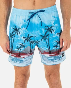 Hurley Boardshorts*Cannonball Volley 17"