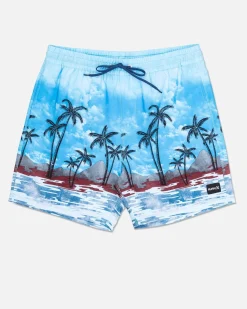 Hurley Boardshorts*Cannonball Volley 17