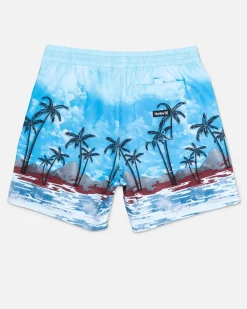Hurley Boardshorts*Cannonball Volley 17