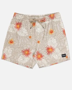 Hurley Boardshorts*Cannonball Volley 17"